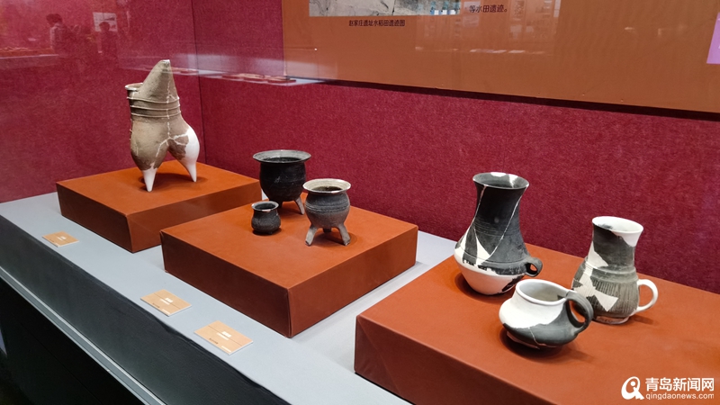 展现青岛考古百年！＂青岛地区考古成果展＂市博物馆开幕