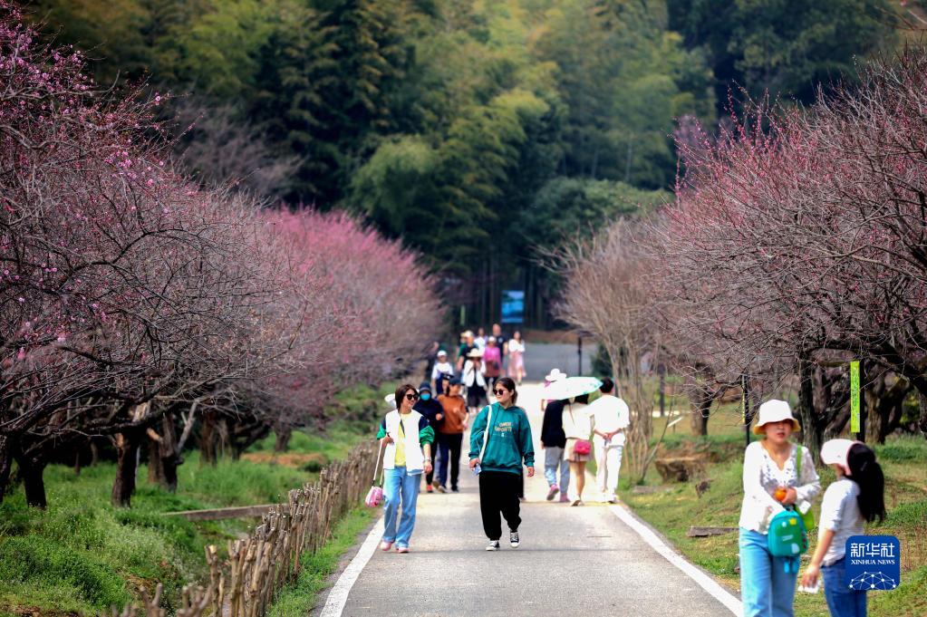 踏青出游“花”样多 夜游成今年赏花“新姿势”